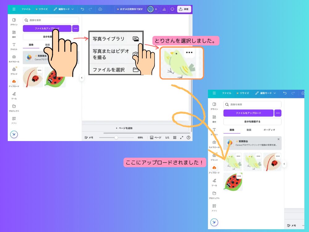 アップロード手順