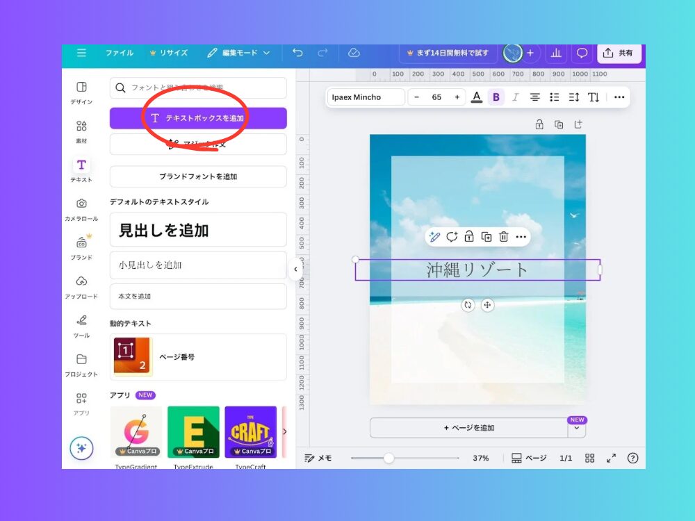 iPad 文字