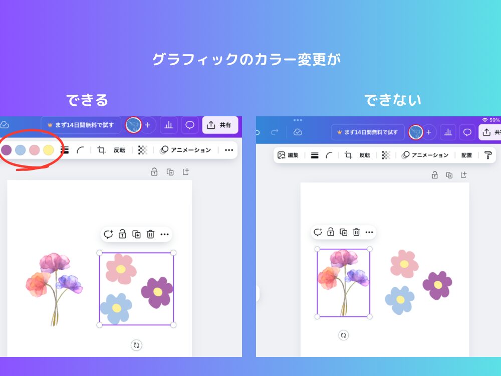 カラー変更の可否