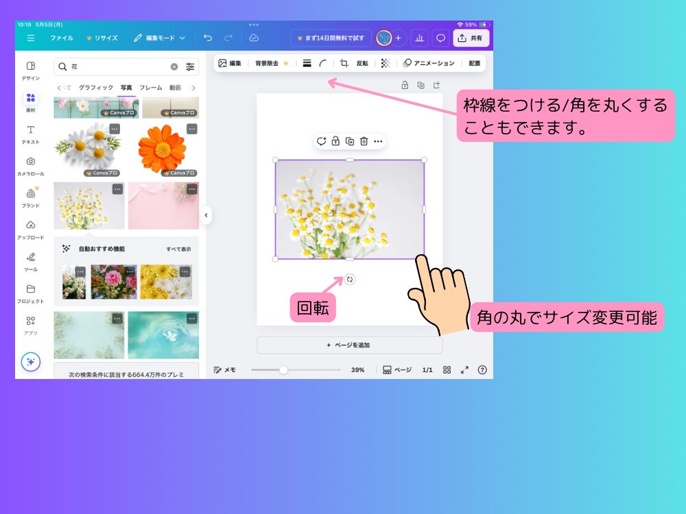 写真の挿入