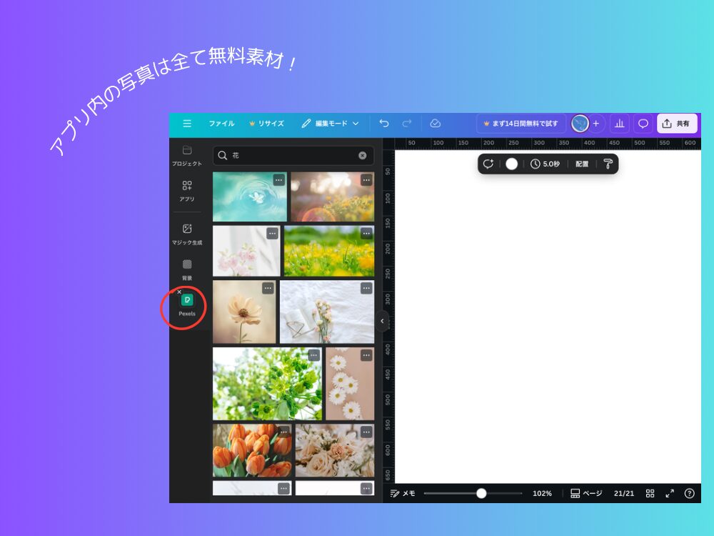 写真を探すアプリ