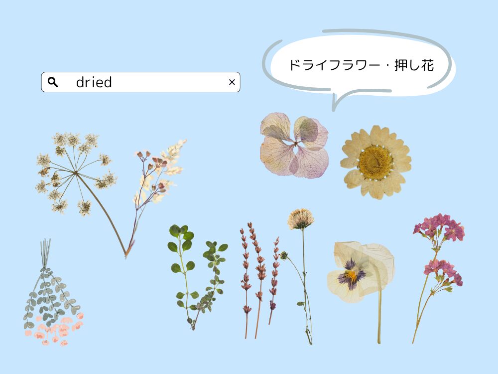 押し花