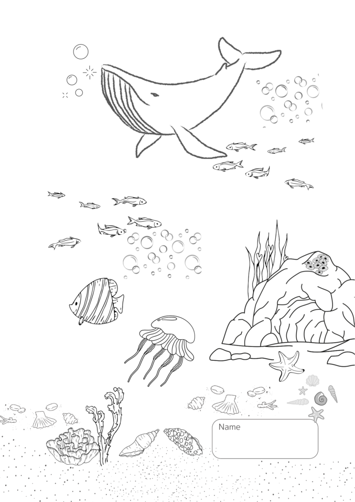 海の中