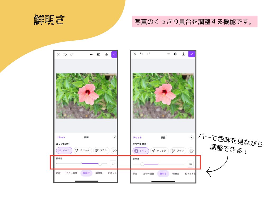 鮮明さ