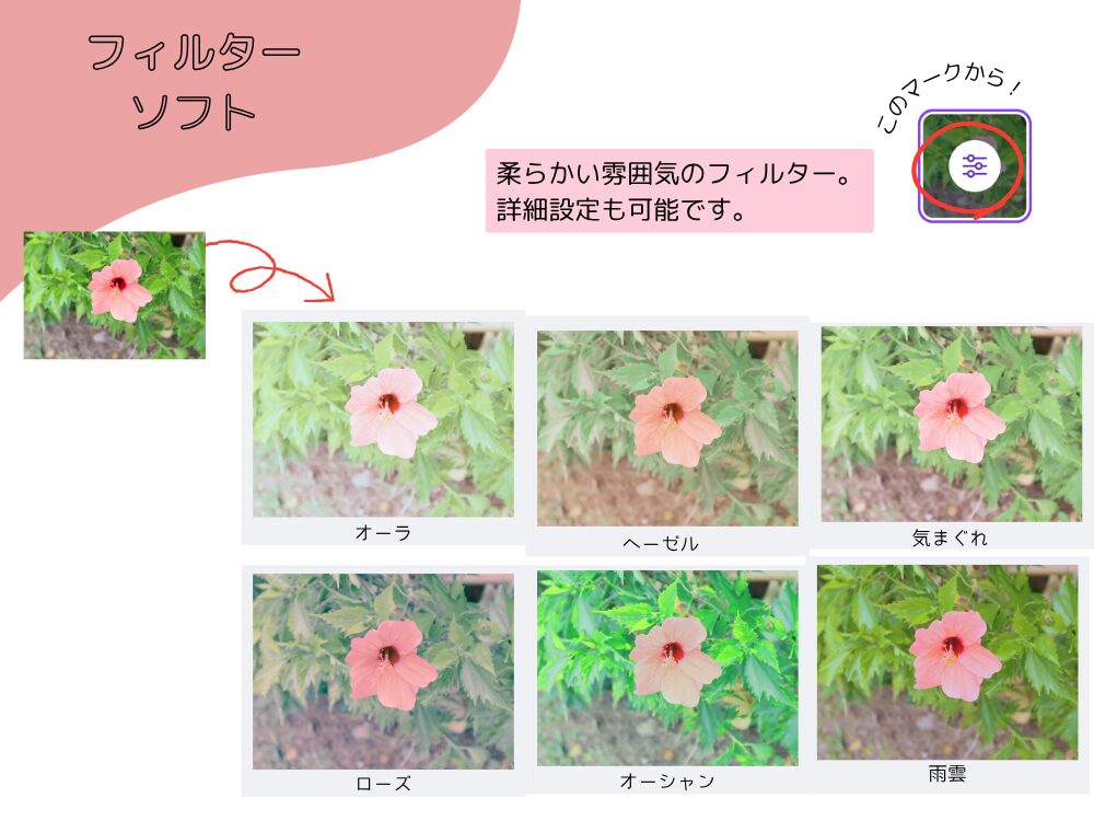 ソフト