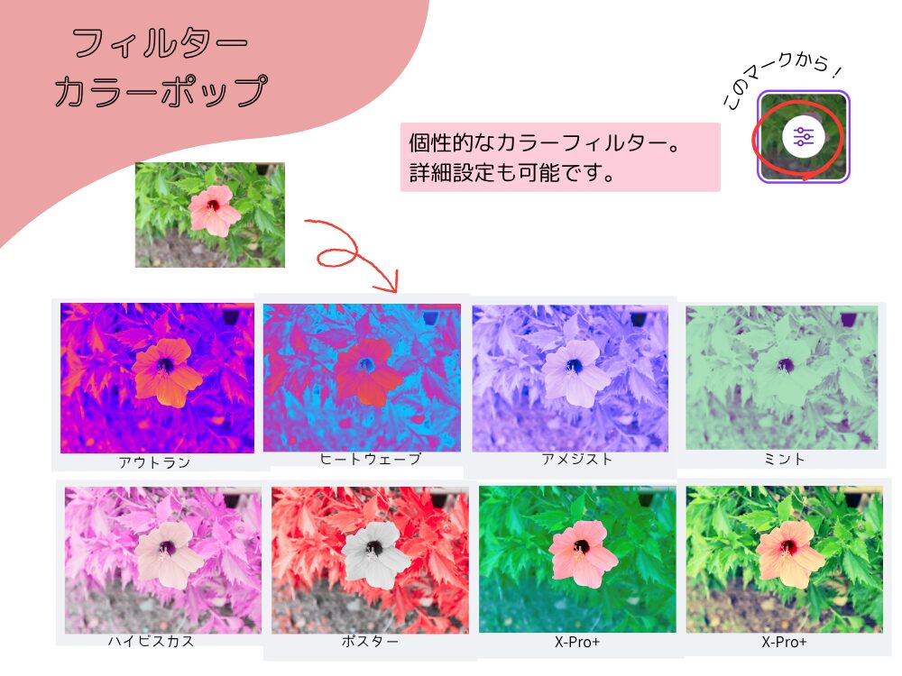 カラーポップ