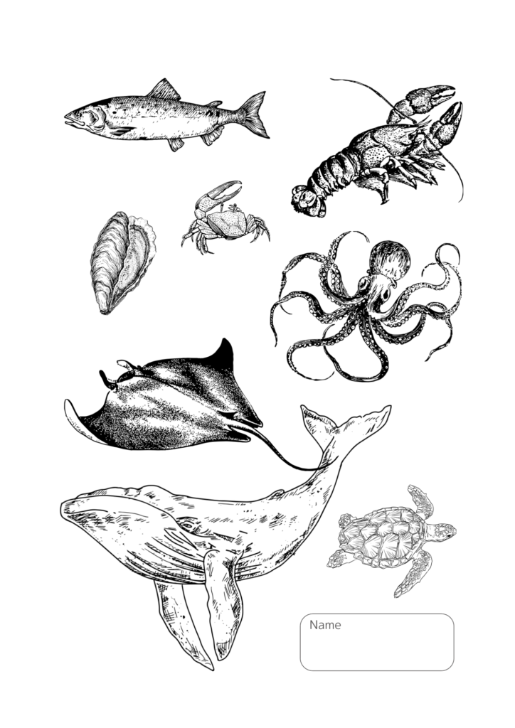 リアル海の生き物