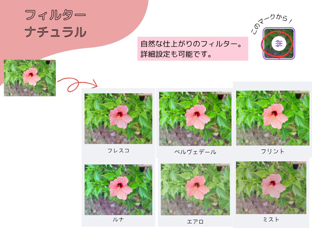 ナチュラル