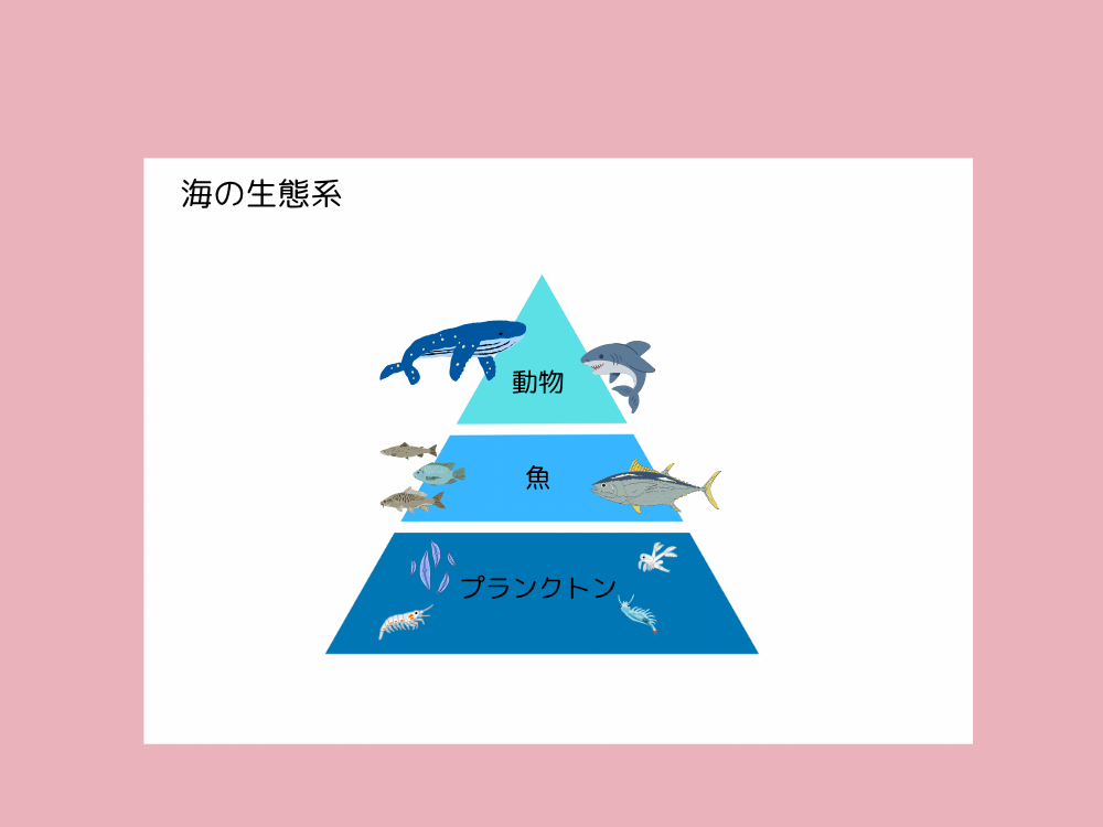 ピラミッド図